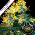 Jack Herer Feminise 