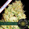 Northern Lights Feminise 