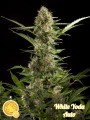 White Yoda Auto Feminise