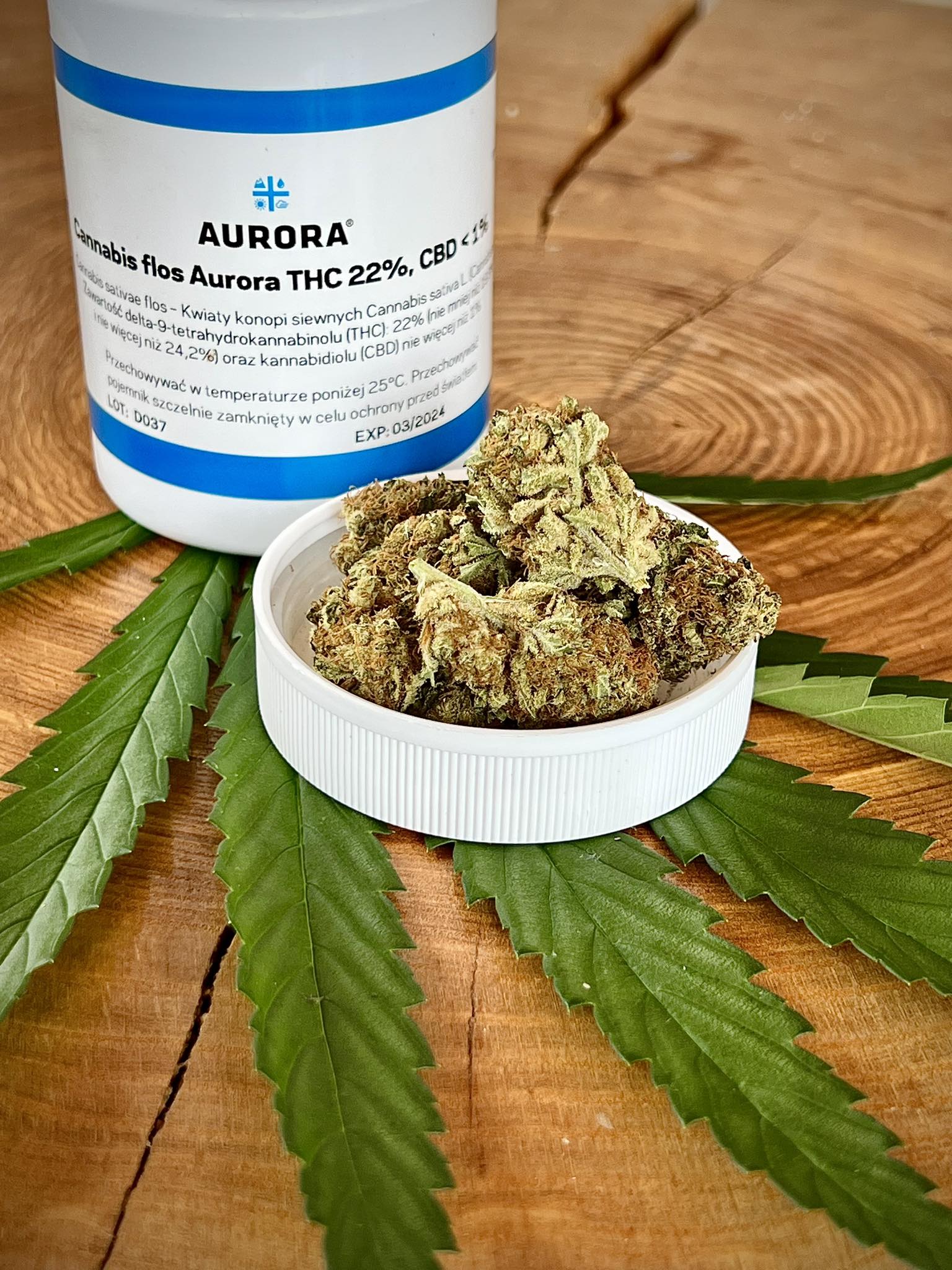 Aurora