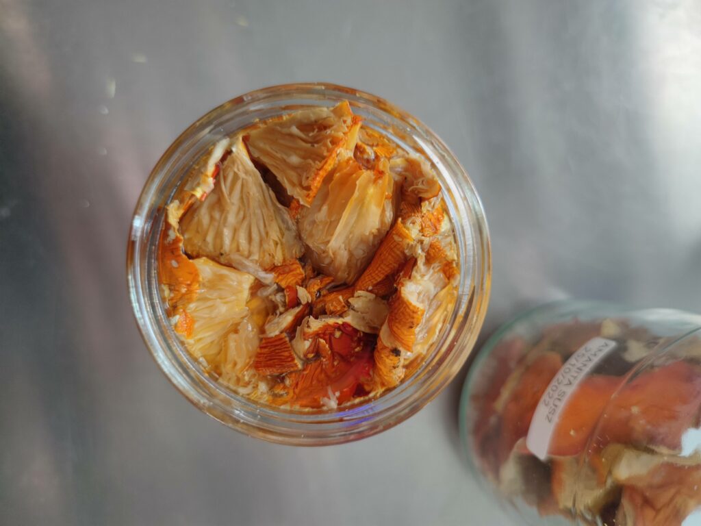 Muchomor Czerwony ambrozja