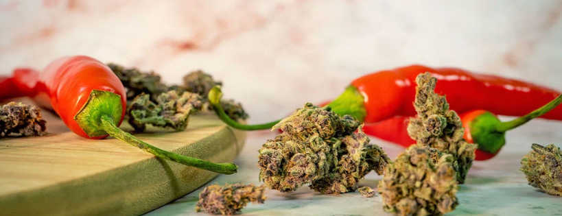 Ostra papryka odmiany, nasiona, habanero