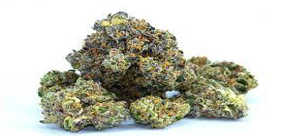 CO TO JEST DEKARBOKSYLACJA NASION KONOPI?