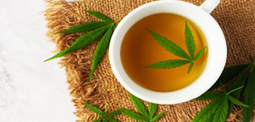 JAK ZROBIĆ HERBATĘ ŁODYGOWĄ Z RESZTEK KOLEKCJI?