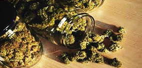 NAJLEPSZE SPOSOBY NA PRZESUSZONE OWOCE KOLEKCJI