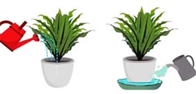 ODWROTNE PODLEWANIE ROŚLIN DONICZKOWYCH