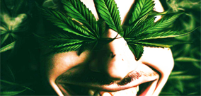 PRZEDAWKOWANIE MARIHUANY, CZY JEST MOŻLIWE?