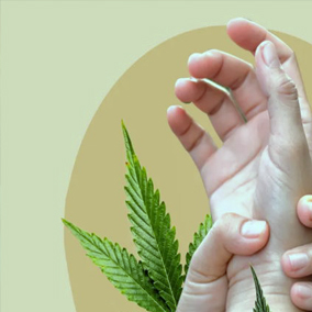 KANNABIZETOL (CBGD). CO TO OZNACZA DLA DERMATOLOGII?