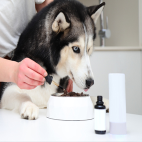 CBD DLA PSA KORZYŚĆI, DAWKOWANIE I BEZPIECZNE STOSOWANIE .