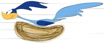 NAJSZYBSZE ODMIANY NASION KTÓRE WYBRAĆ I DLACZEGO WARTO ?