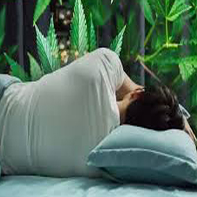 KANNABINOIDY A SEN – MECHANIZMY DZIAŁANIA I POTENCJAŁ TERAPEUTYCZNY