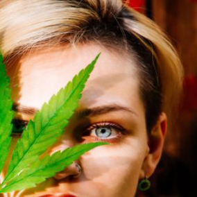 CBD A JASKRA CZY MOŻE POMÓC I CZY WARTO JE STOSOWAĆ?