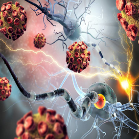 JAK CBD MOŻE WSPIERAĆ FUNKCJE POZNAWCZE I NEUROPROTEKCJE.