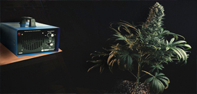 GENERATORY OZONU I KONOPIE INDYJSKIE, WSZYSTKO, CO MUSISZ WIEDZIEĆ CZ.1: ZALETY