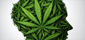 PAUZA: PRZEWODNIK PO PRZERWACH NA TOLERANCJĘ KONOPI cz.1 – JAK ROZPOCZĄĆ?