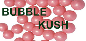 Bubble Kush: prowadzenie słodkiego dziedzictwa konopi